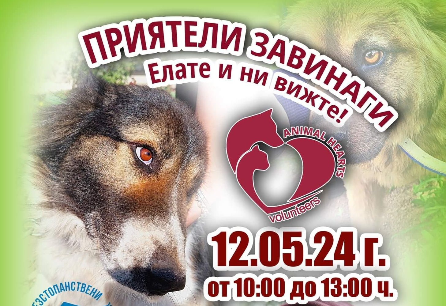 Събитие с кауза "Приятели завинаги!" събира днес любителите на кучета в ...